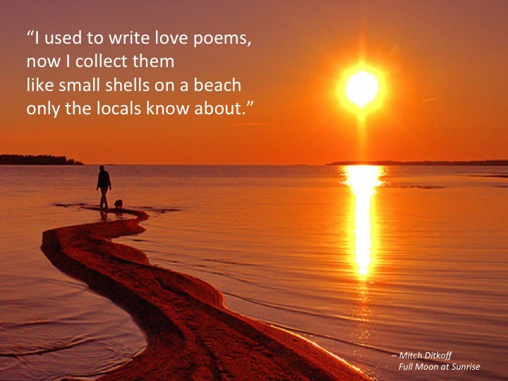 Used Write Love Poems.jpg