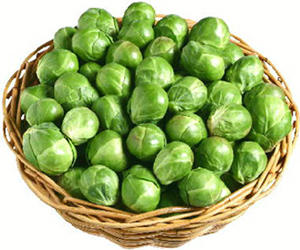 brussel_sprouts.jpg