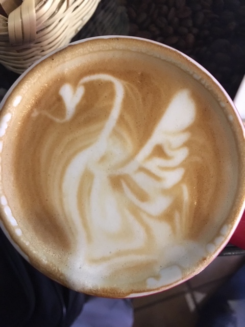 swan coffee.JPG